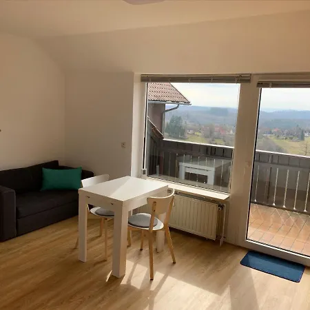 Gemuetliche Ferienwohnung Harz Braunlage Hohegeiss Exterior photo