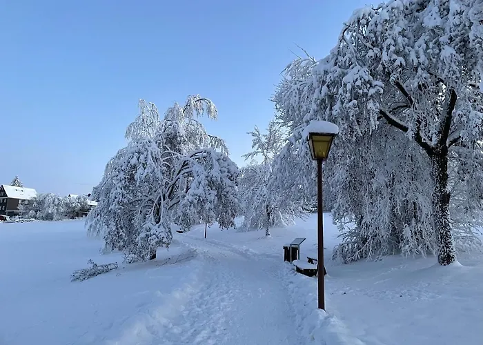 Gemuetliche Ferienwohnung Harz Braunlage Hohegeiss